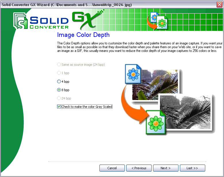Solid Converter GX Screenshot